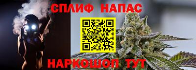 гидра Балахна